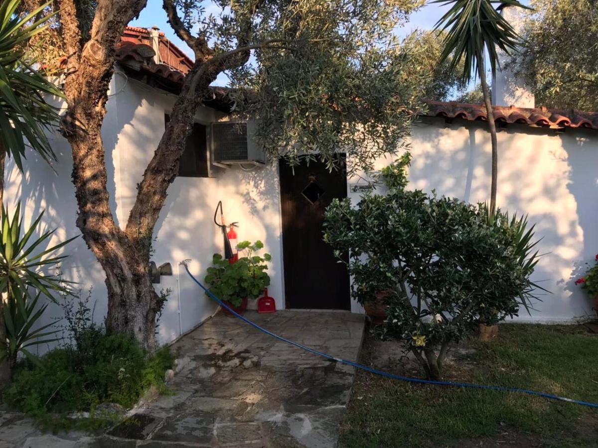 Oasis Aparthotel Skiathos stad Exteriör bild