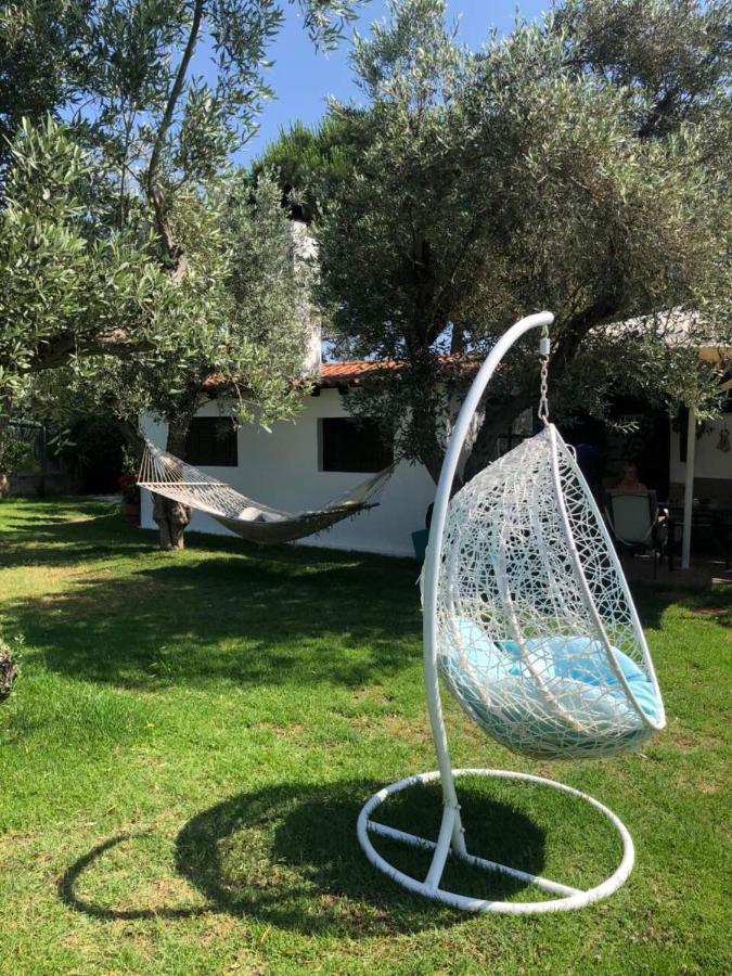 Oasis Aparthotel Skiathos stad Exteriör bild